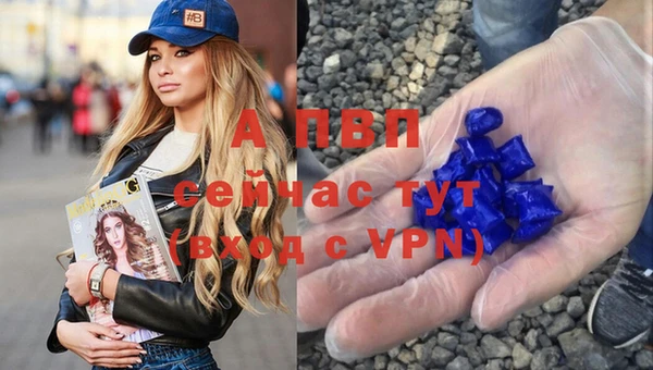 соль ск Алексеевка