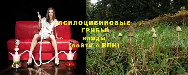 соль ск Алексеевка